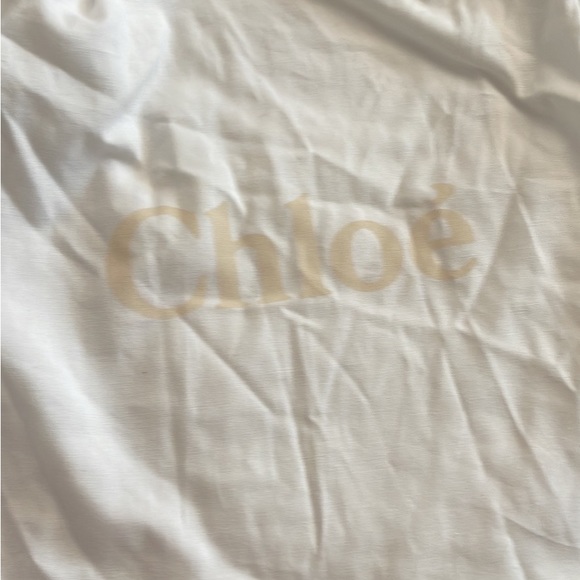 Chloè raffia purse - Picture 6 of 11